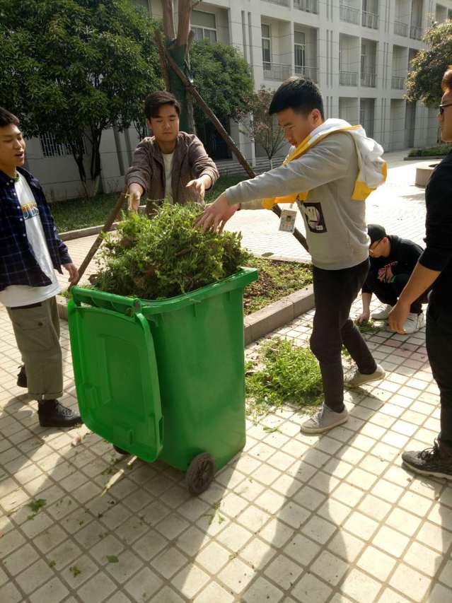 清理拔草现场，保持良好环境